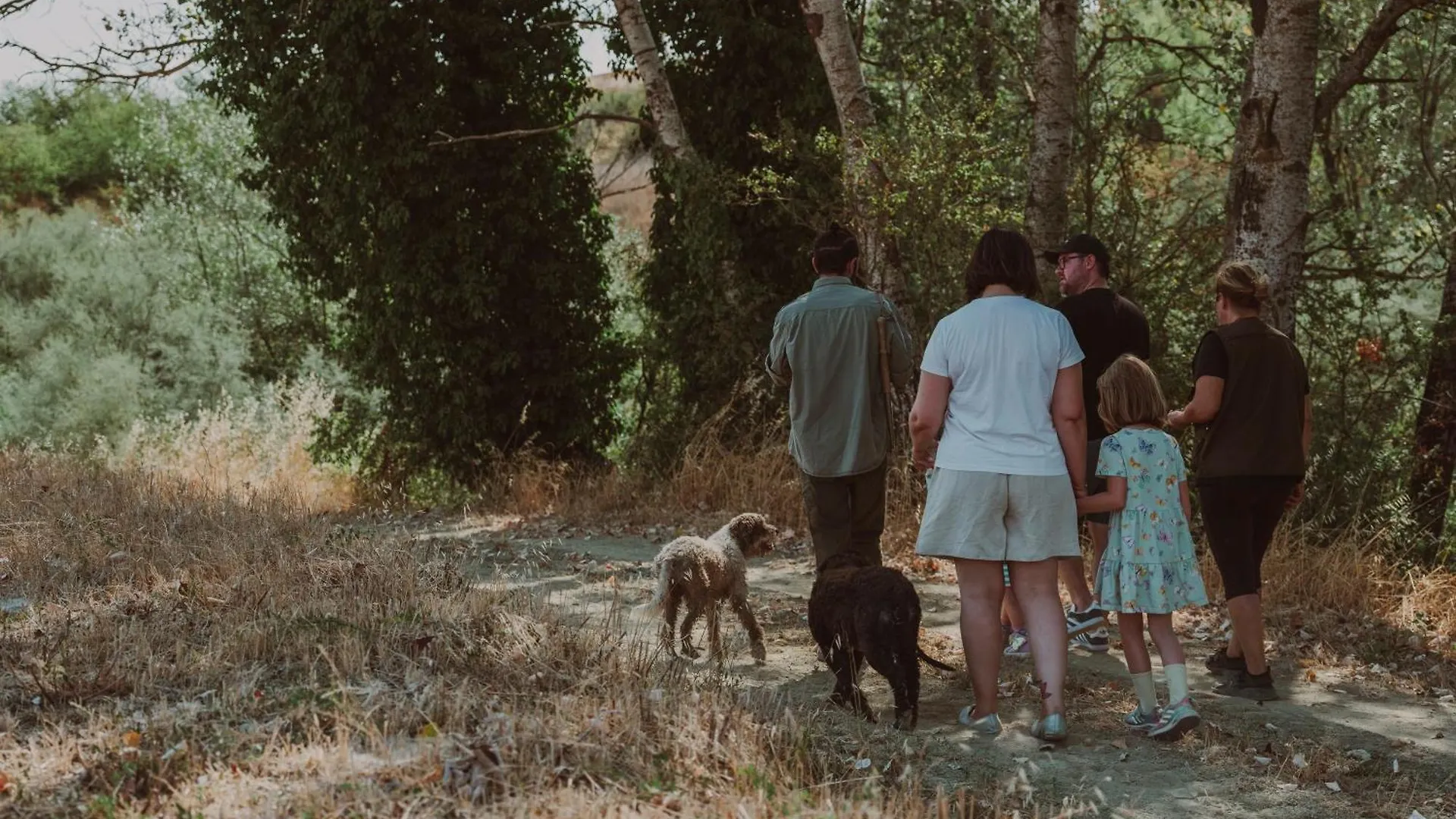 Agriturismo Biologico Diacceroni Villamagna  مزرعة للإقامة Villamagna (Pisa)